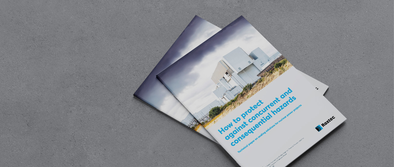 与核电行业分享密封专业知识